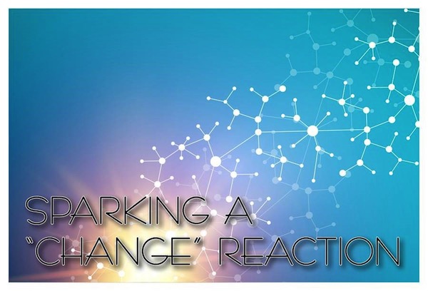 NCWBA Sparking a change reaction